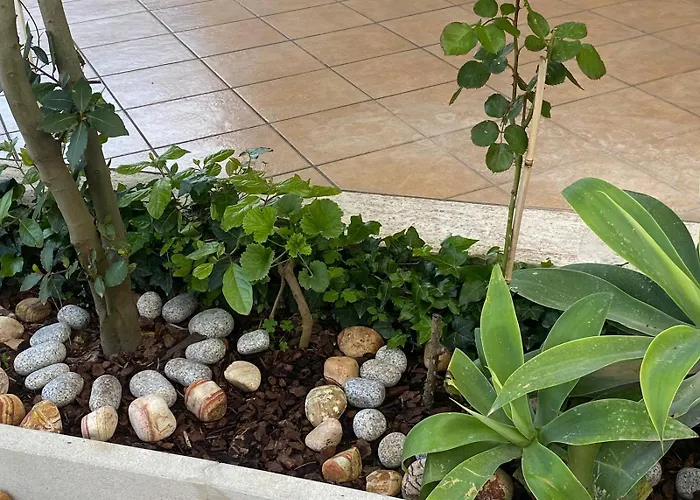 Villa Rita A 200M Dal Mare